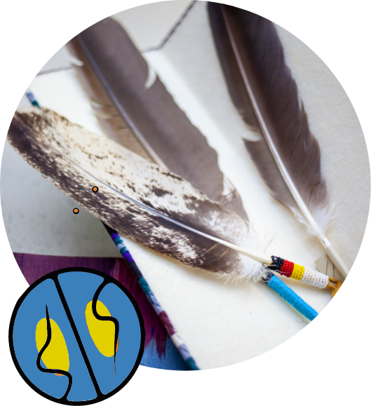 about us page rehabilitation center accent image of feather